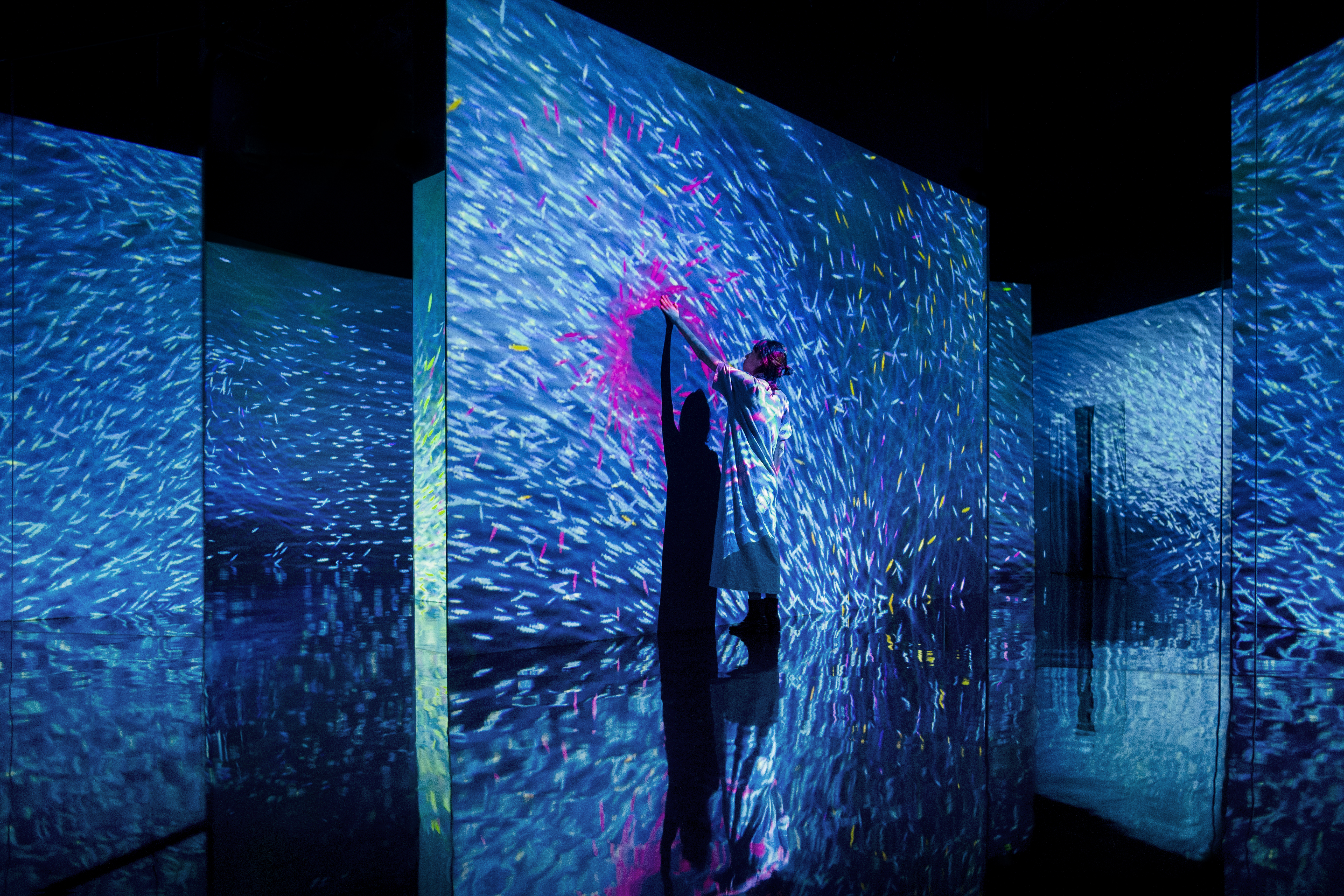 WechatIMG2969.jpeg WechatIMG2969.jpeg